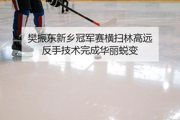 樊振东新乡冠军赛横扫林高远 反手技术完成华丽蜕变